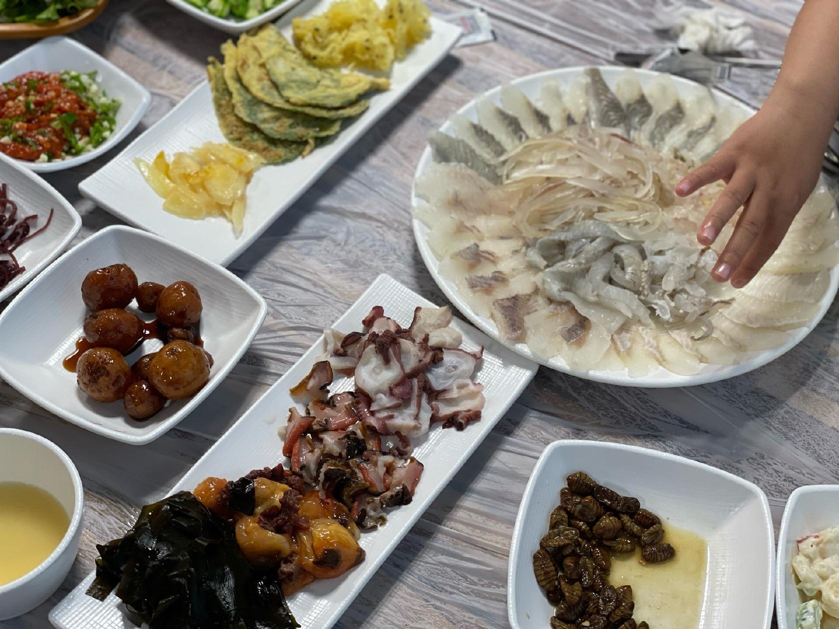 울릉오징어회타운