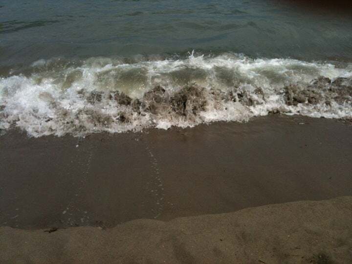 Ai Tamerici - Ristorante Pizzeria