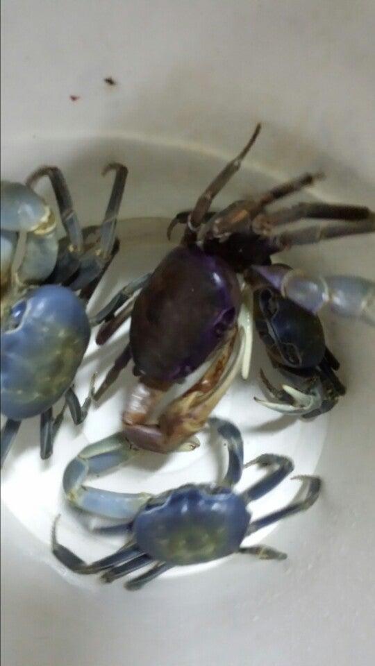 Bar e Restaurante Kte Espero IN MEMORIAM JOSAFÁ