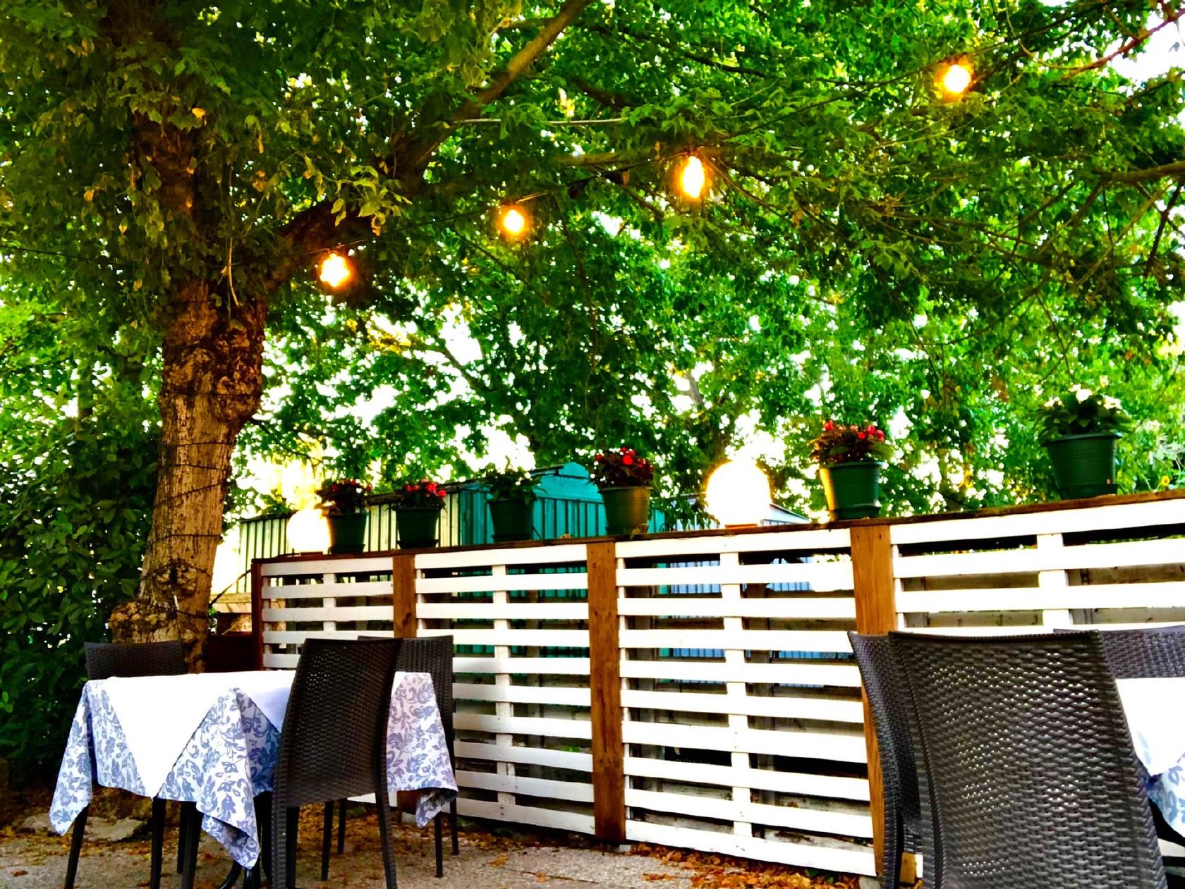 Trattoria Anna Funghi e Tartufo