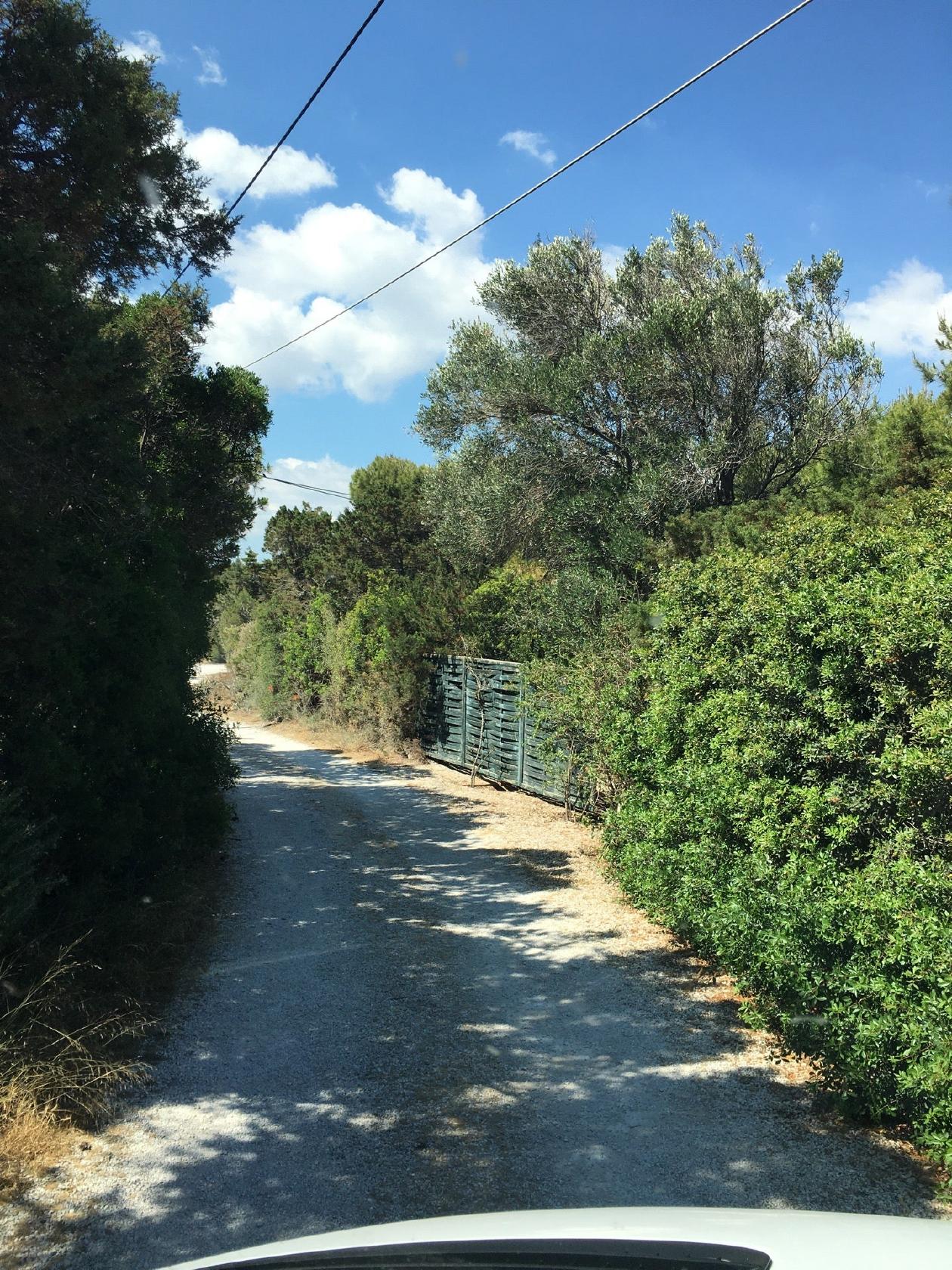The Camp