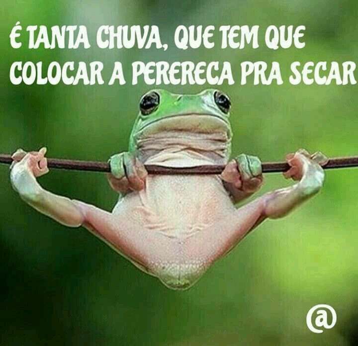 RU-Restaurante Universitario