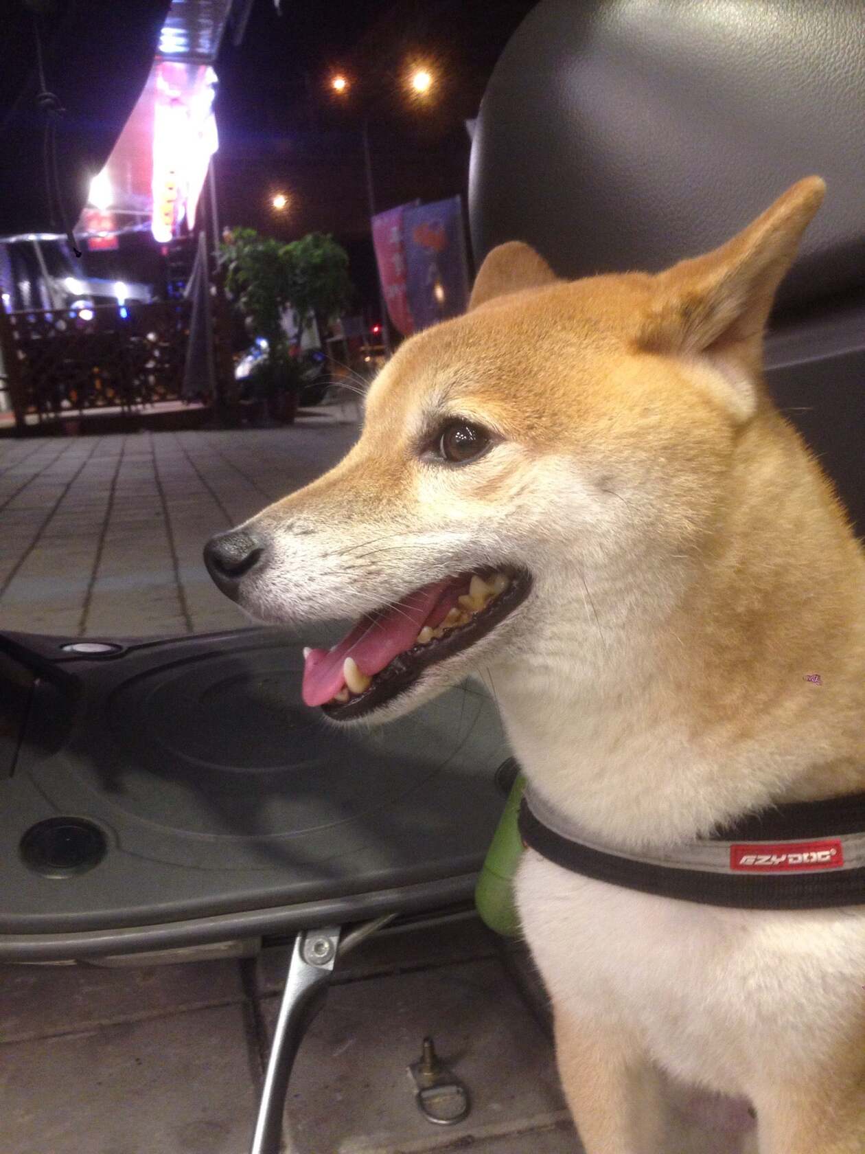 木子臭臭鍋
