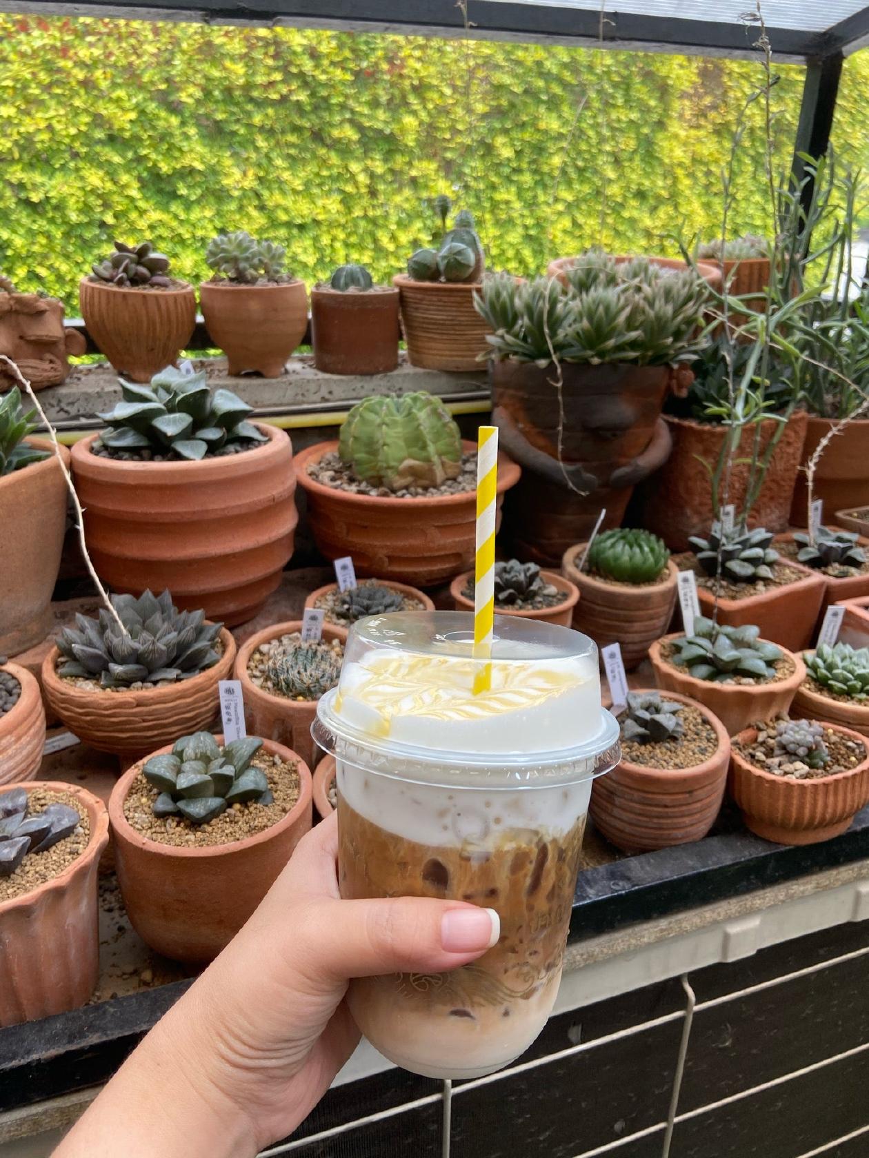 Baanplachum Cafe