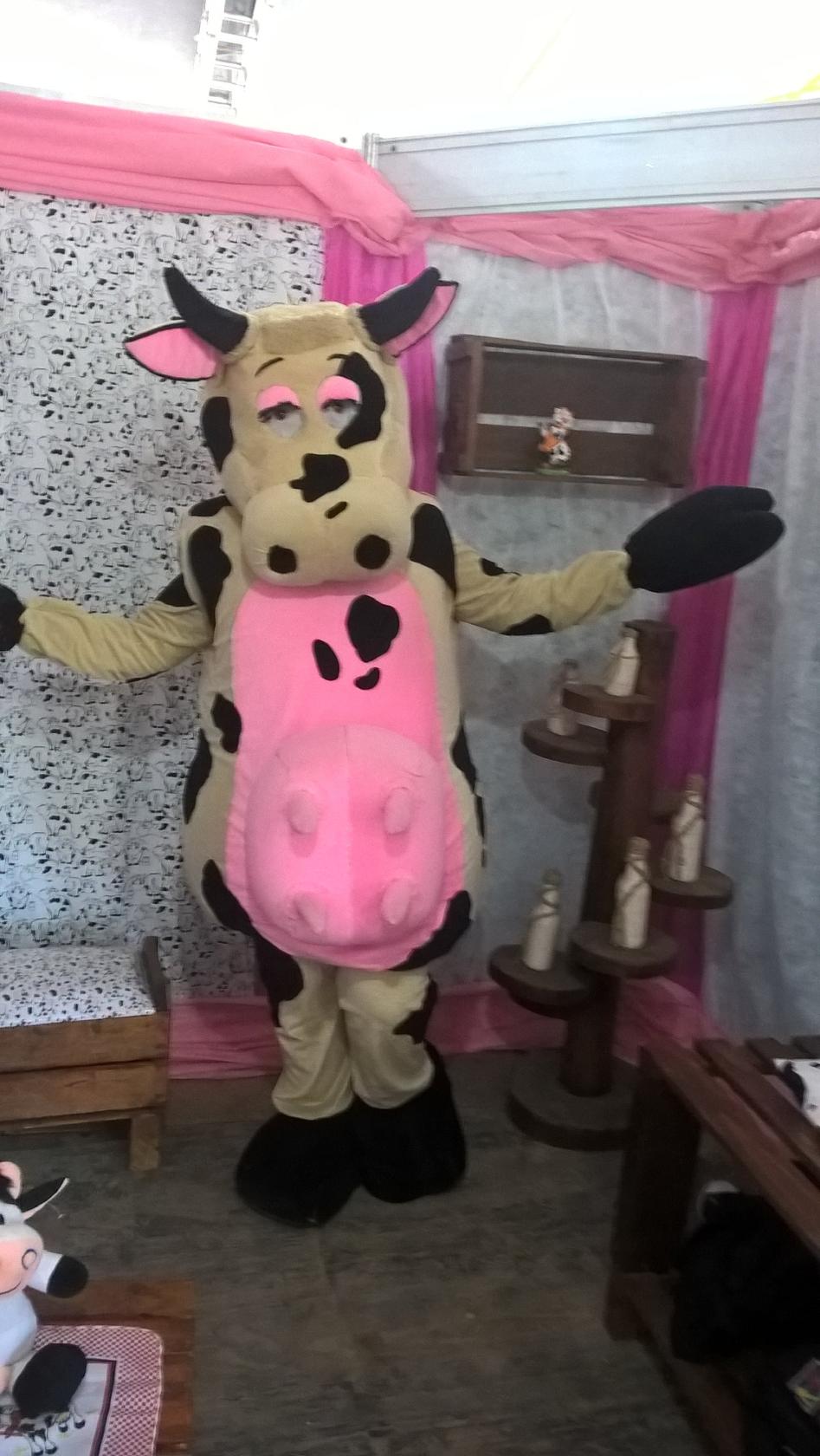 Sociedade Esportiva Camioneiros