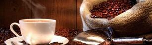 Dea Madre Coffee & Beverage