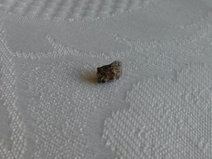 Слънце Луна