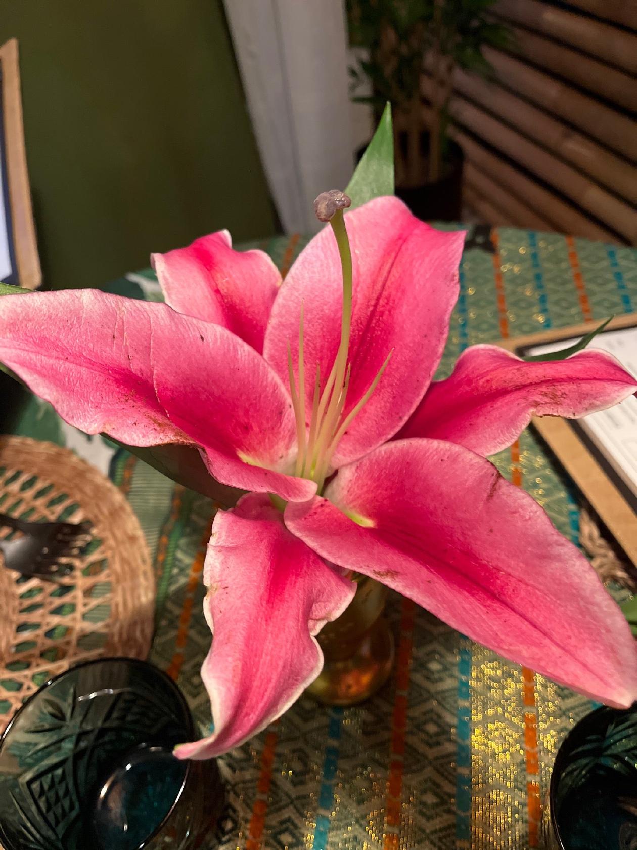 Restaurant Dapura Mia