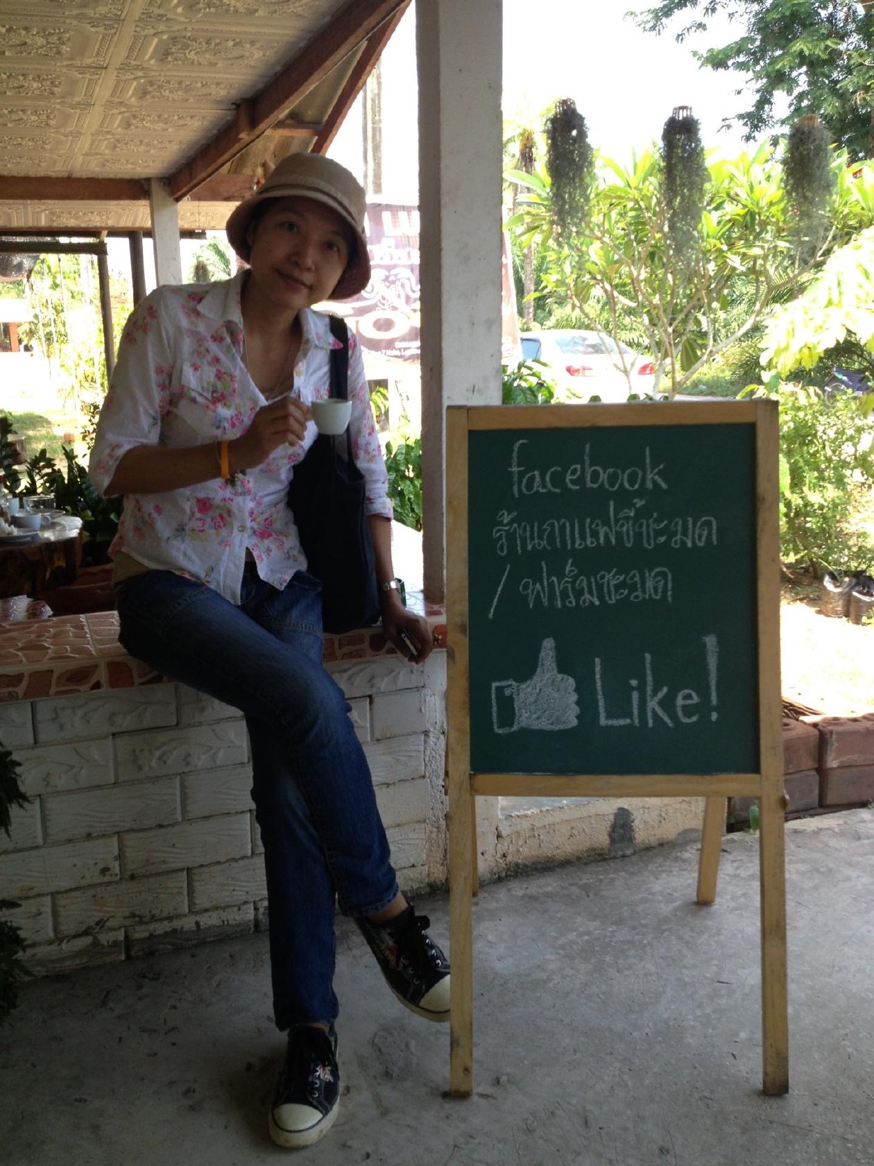 กาแฟขี้ชะมด ชุมพร