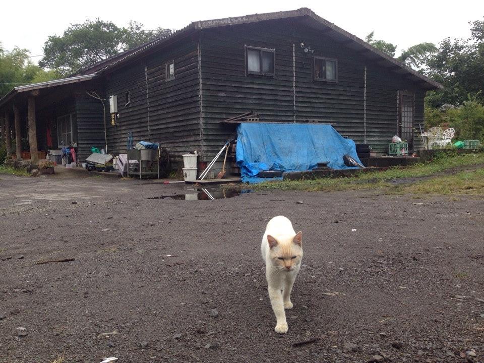 Cook-Hill Farm