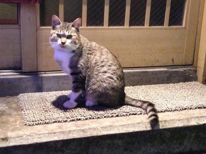 鉄板dining 寅まる