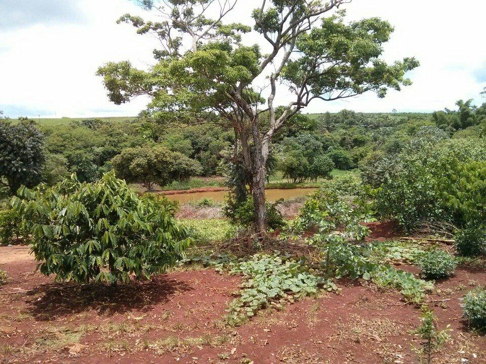 Lanchonete do Kioshi