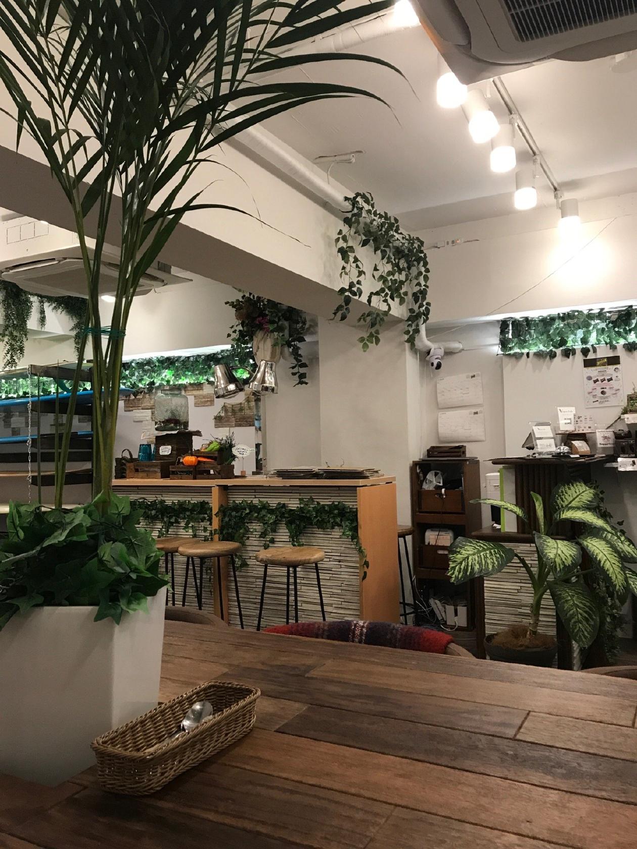 Vegan Cafe