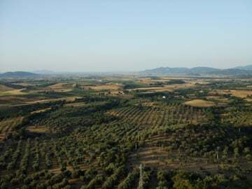 Montemassi