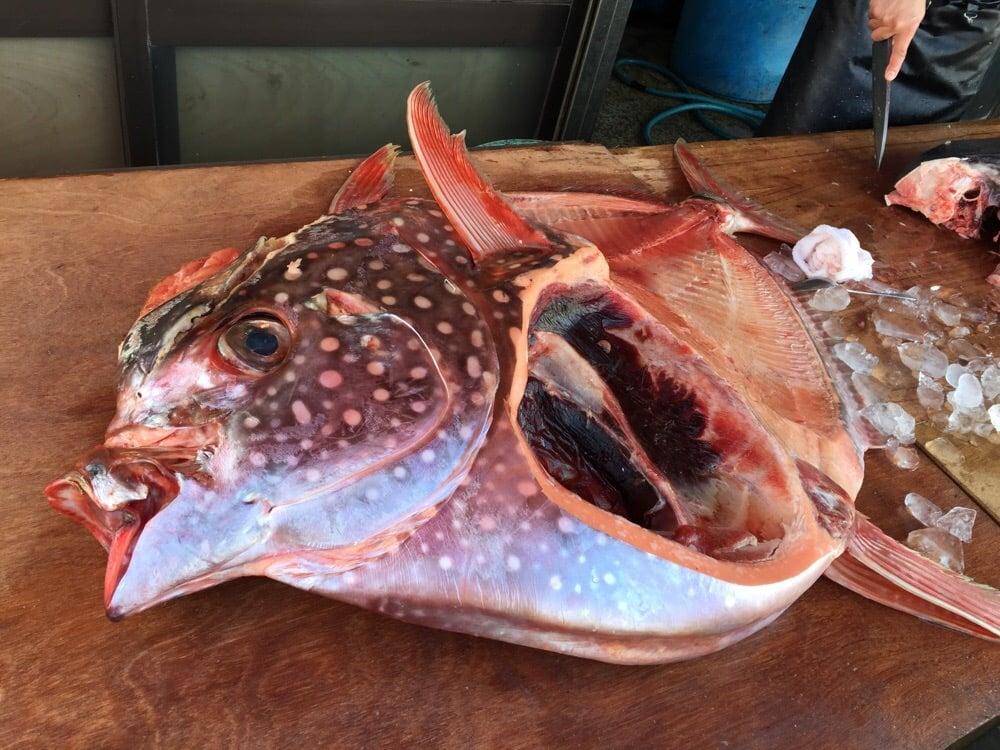 島武水産