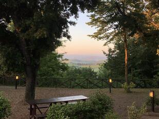 Selva delle Torri