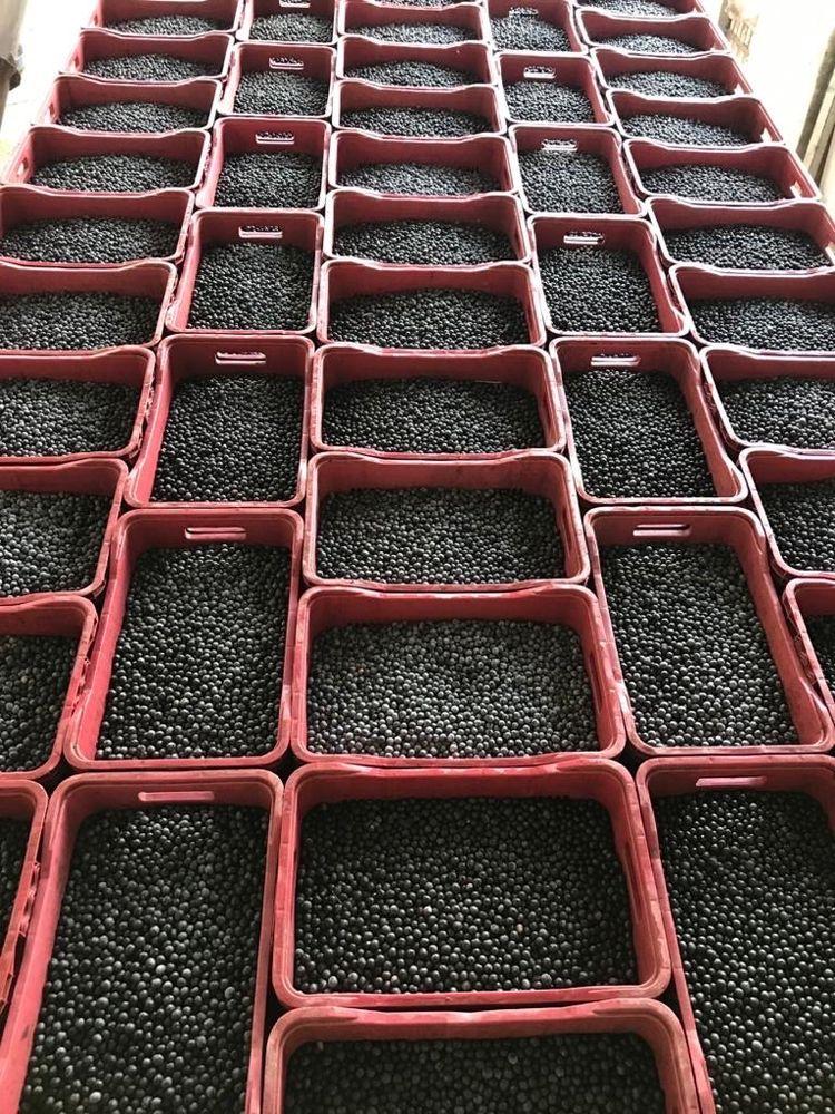 Fast Nature - Sobradinho