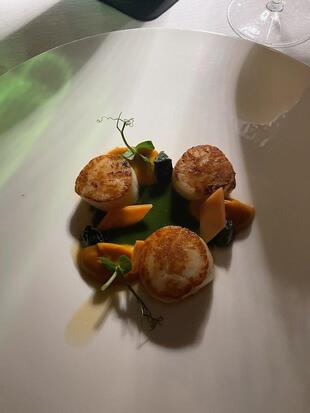 47 Circus Roof Garden