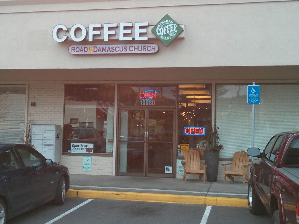 Surf Bear Coffee