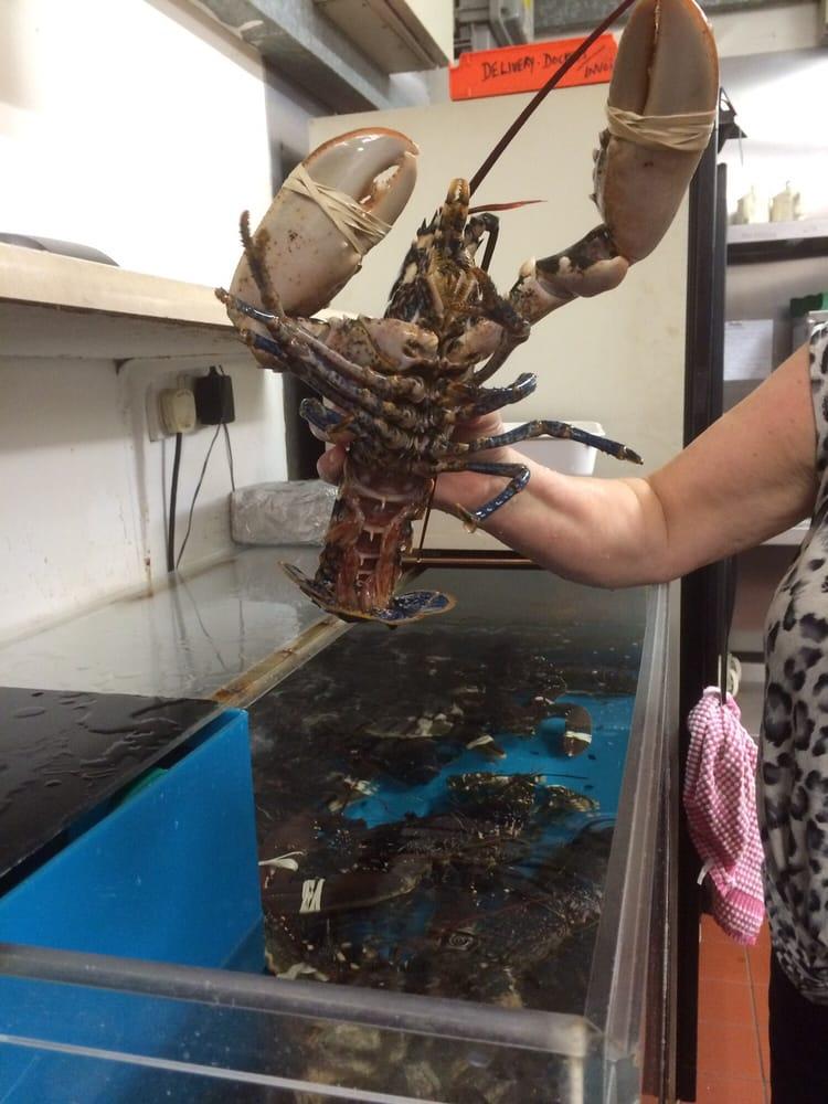 Lobster Pot