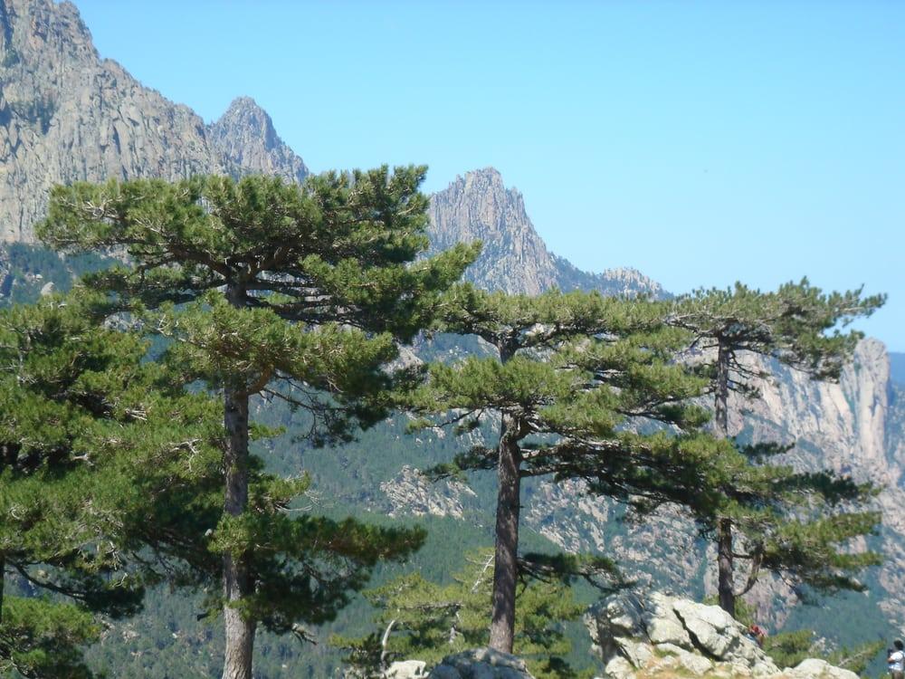 Auberge du Col de Bavella
