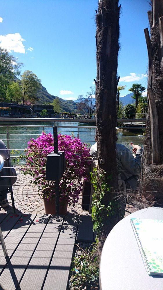 Caffè delle Palme