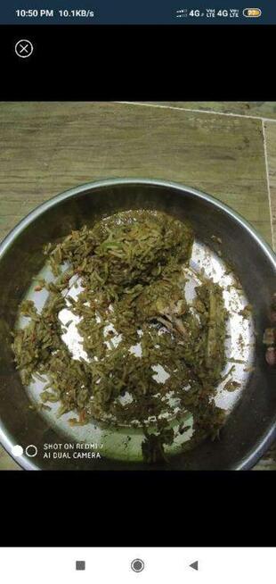 Vijaya Family Restaurant