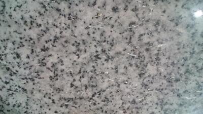 نان فانتزی خوشه فارس