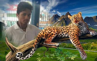 Gullapelli Saicharan Hotel