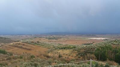 Pasticceria Angeletti