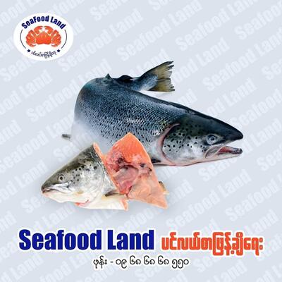 Seafood Land ပင်လယ်စာဖြန့်ချိရေး