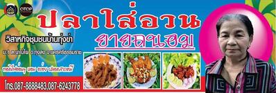 ปลาใส่อวนยายถนอม
