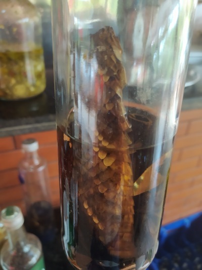 Restaurante Toca do Jacaré