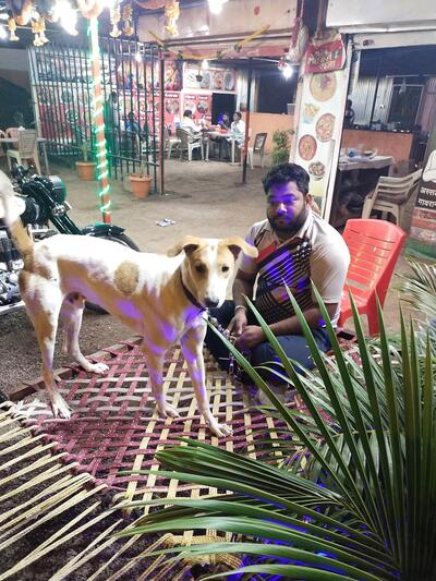 Hotel Tuljai Pure Veg 100% veg