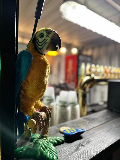 Sømænd og papegøjer - Bar på Gl havn streetfood Holbæk
