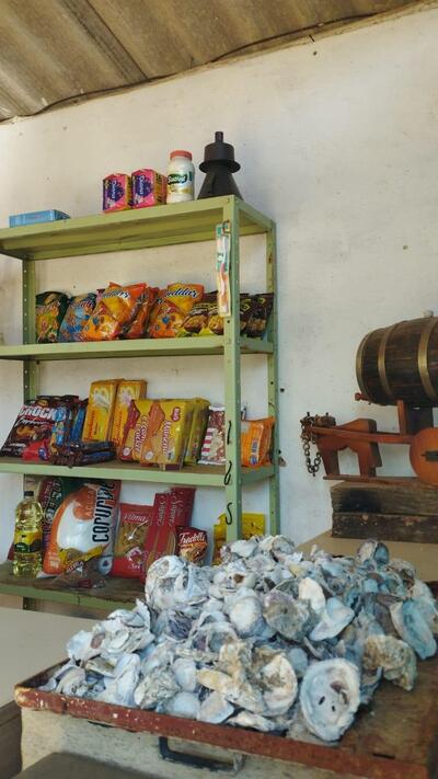 Lanchonete da elvina