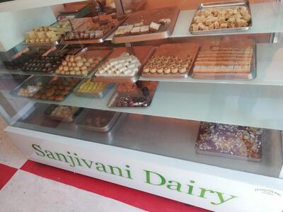Sanjivani Dairy