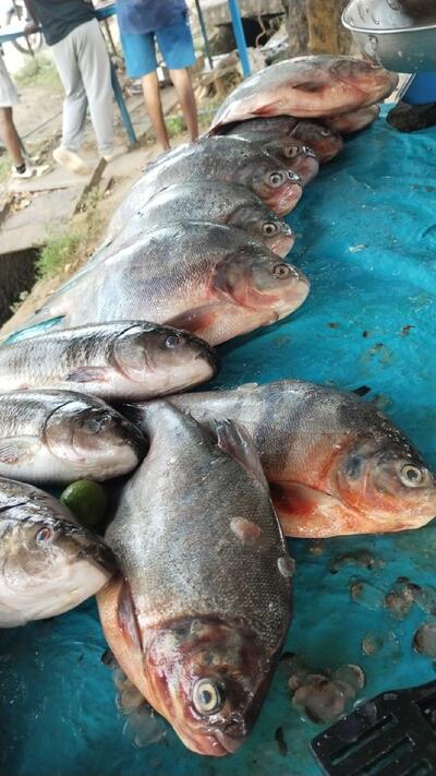 Vasantha_Akka_Fish_Shop