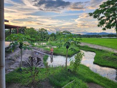 Suan Saek Saek Organic Farmstay