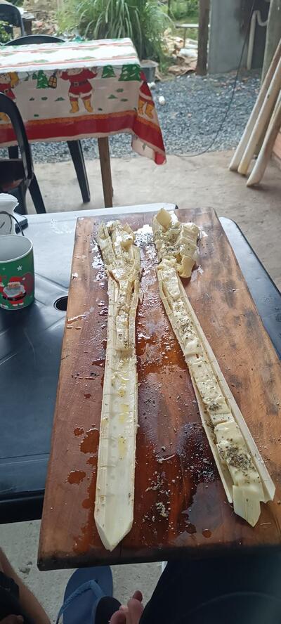 Palmito na Brasa - Iporanga