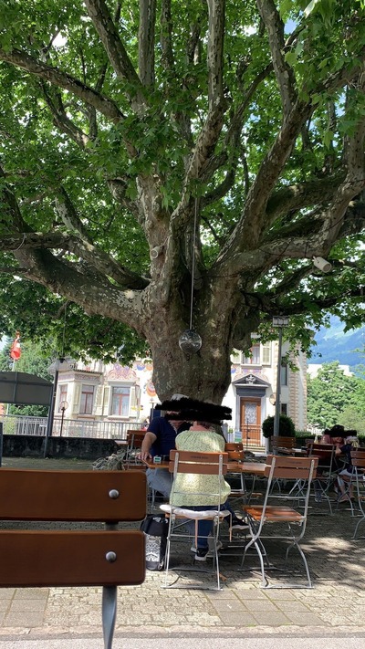 Hotel Churfirsten Walenstadt