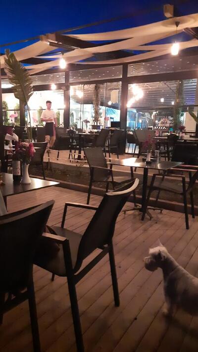 Flamingos Beach Club