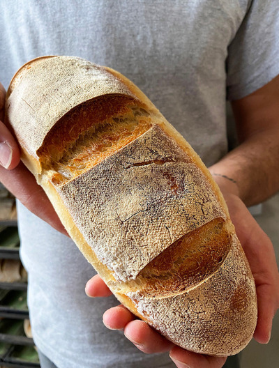 Caputo Pane