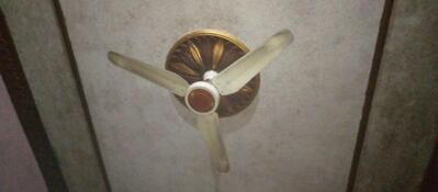 Pin Gondal