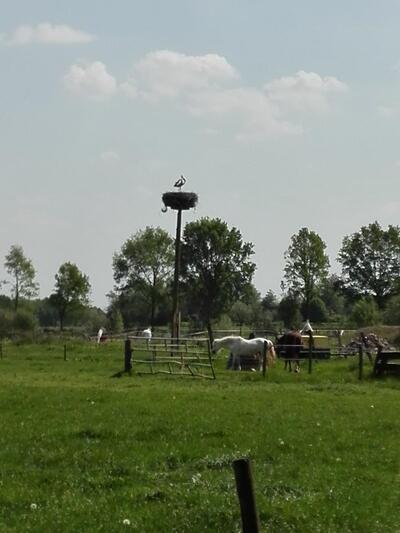 Kamps Brood en Banket