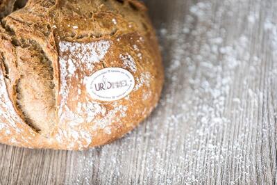 Bäckerei Sterchi AG