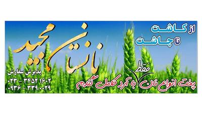 نانستان مجید