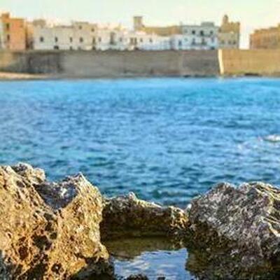 Quarta Caffe' Spa foto