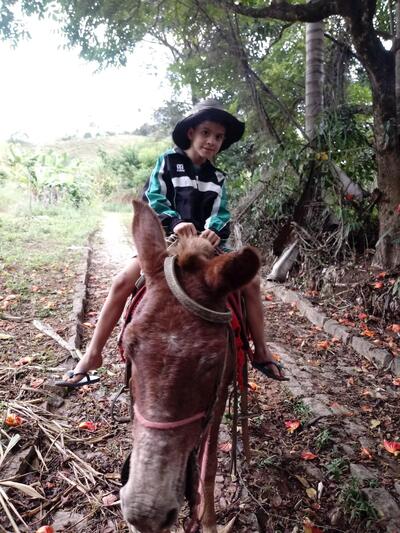 Restaurante Chapada foto
