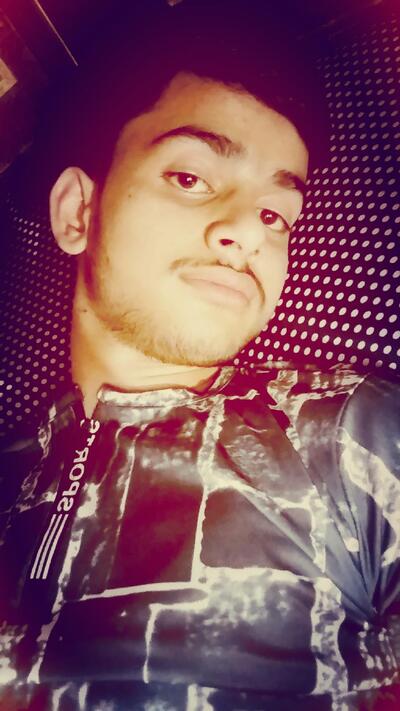 CHAUHAN HOTEL AND FAMILY RESTAURANT